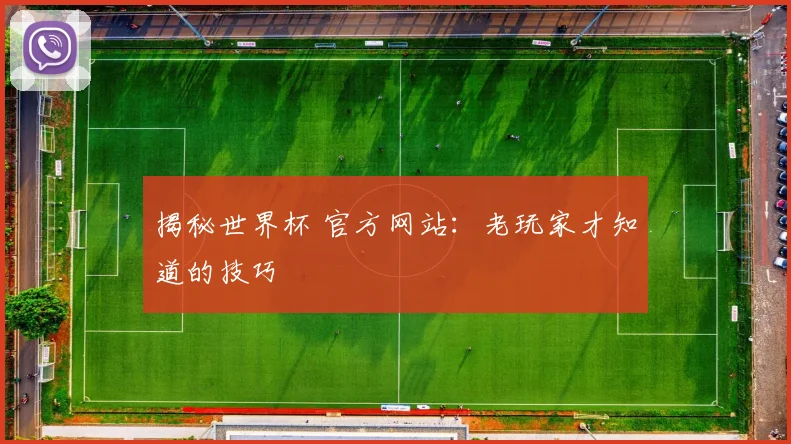 揭秘世界杯 官方网站：老玩家才知道的技巧